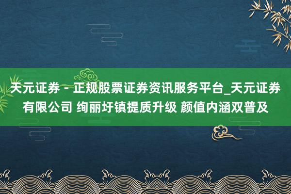 天元证券 - 正规股票证券资讯服务平台_天元证券有限公司 绚丽圩镇提质升级 颜值内涵双普及
