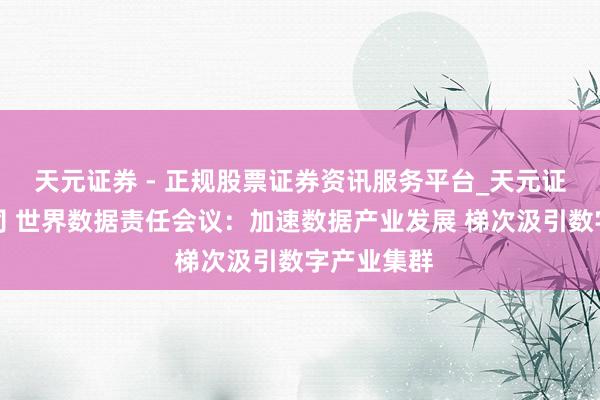 天元证券 - 正规股票证券资讯服务平台_天元证券有限公司 世界数据责任会议：加速数据产业发展 梯次汲引数字产业集群